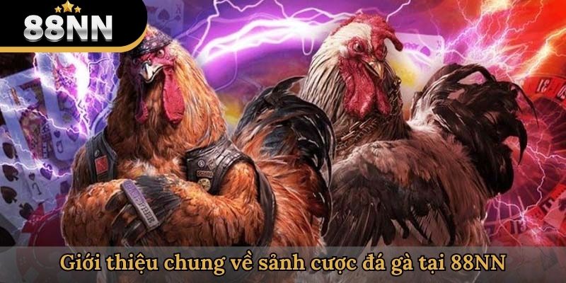 Giới thiệu chung về sảnh cược đá gà tại 88NN