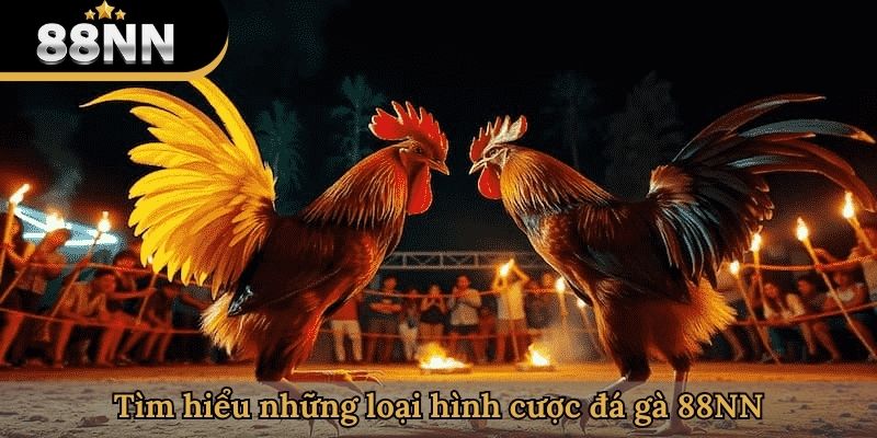 Tìm hiểu những loại hình cược đá gà 88NN