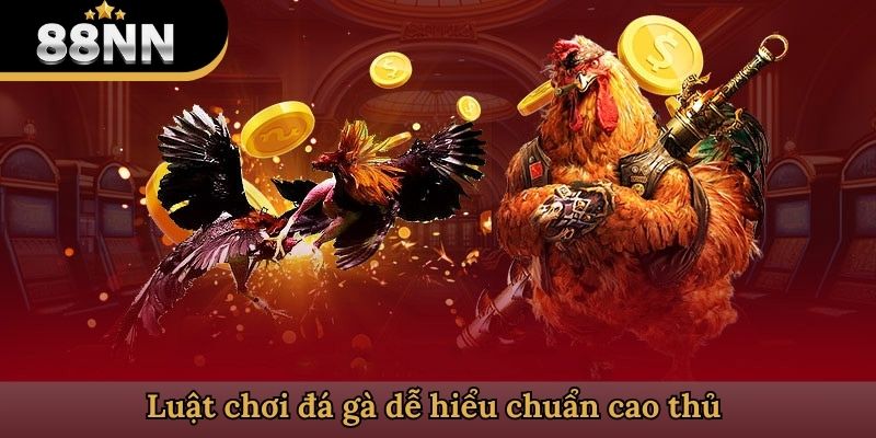 Luật chơi đá gà dễ hiểu chuẩn cao thủ 
