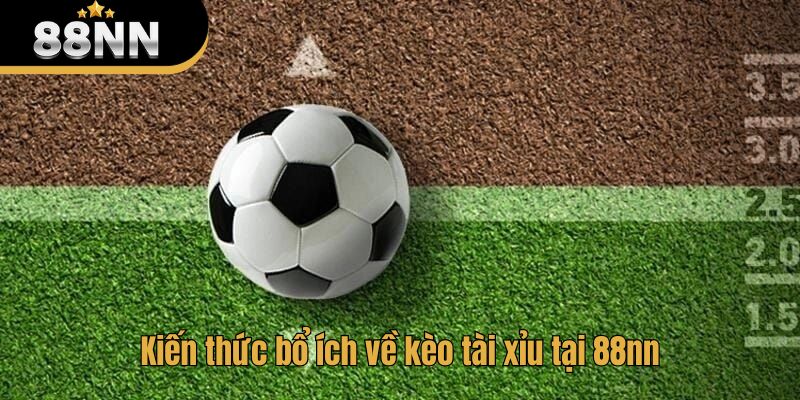 Kiến thức bổ ích về kèo tài xỉu tại 88nn