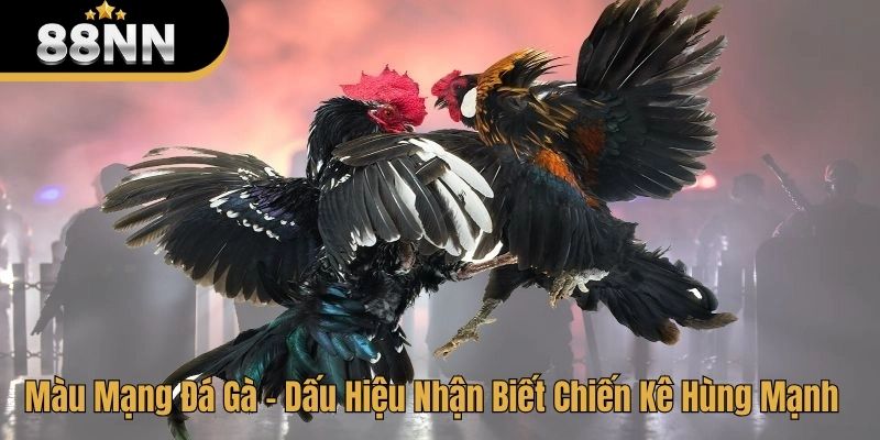 màu mạng đá gà