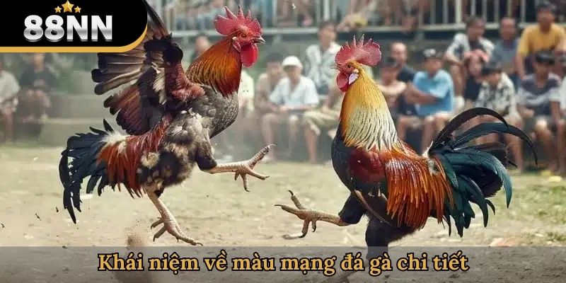 Khái niệm về màu mạng đá gà chi tiết