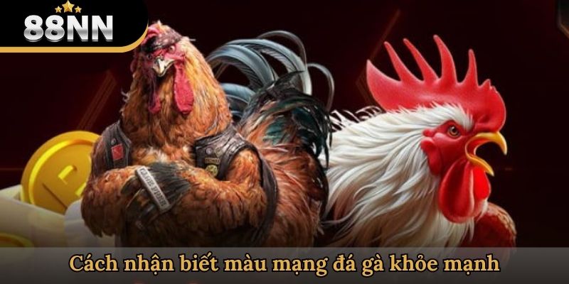 Cách nhận biết màu mạng đá gà khỏe mạnh