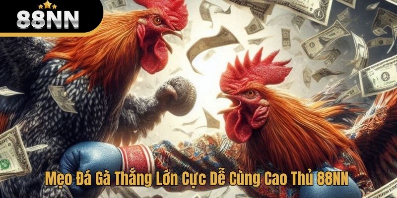 mẹo đá gà thắng lớn